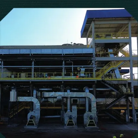Bunge Soja — foto 2