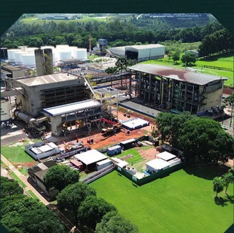 Bunge Soja — foto 3