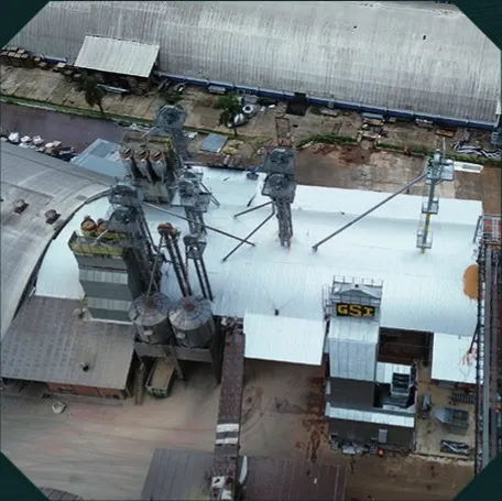 Frísia Carambeí — Matriz — foto 2
