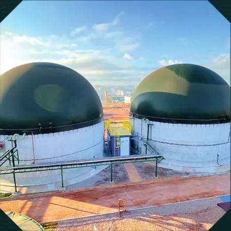 Usina Termoelétrica Biogás — foto 2